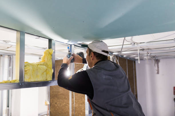 Best Local Insulation Services  in Kittredge, CO