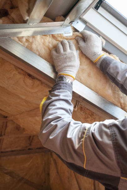 Best Insulation Contractor Near Me  in Kittredge, CO