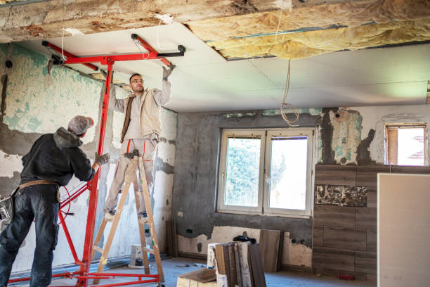 Best Insulation Removal  in Kittredge, CO