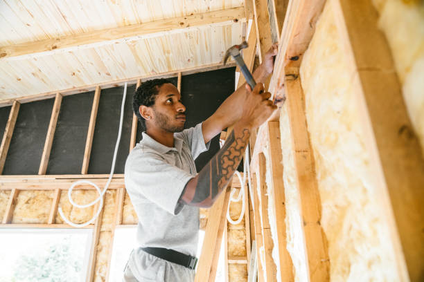 Best Insulation Repair Services  in Kittredge, CO