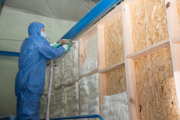 Best Commercial Insulation Contractor  in Kittredge, CO